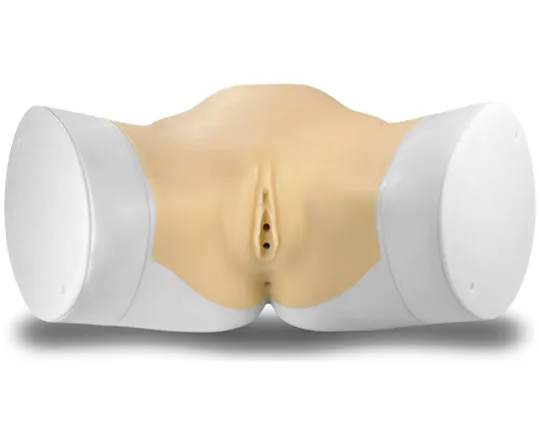 Uterine Fibroids (Myomas) Biopsy and Ablation Training Platform