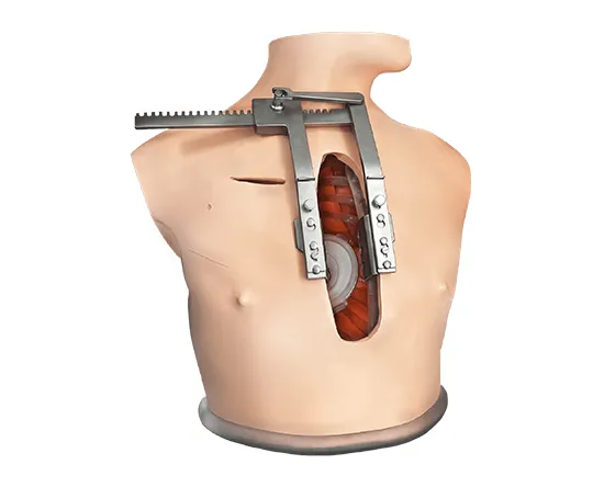 Minimally Invasive and Open Chest Surgical Skills Training Platform