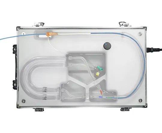 Coronary and Bifurcation  Stenting / Wiring Training Platform