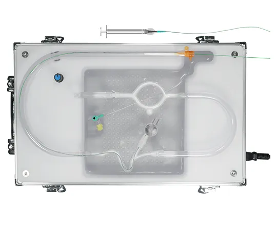 AVM Liquid Embolization Wiring  and Glue Injection Training Platform