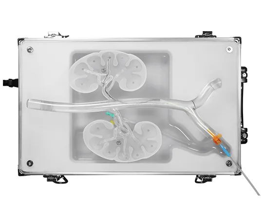Renal Artery Wiring and Spiral Ablation Training Platform
