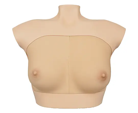 Breast Examination, Biopsy and Ablation Training Platform