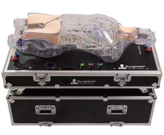 ECMO Cannulation and Endovascular  Procedures Training Platform (EVAN)