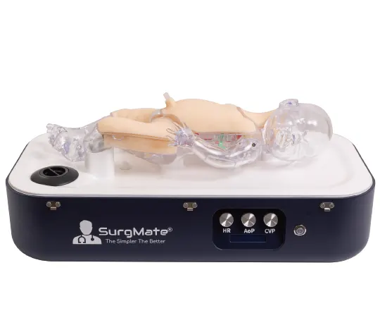 NeoPeds Endovascular Procedures Training Platform (DORA)